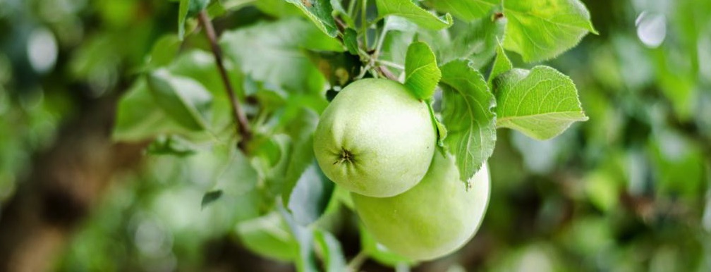 Music from Johannesburg, South Africa